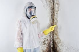 Best Industrial Mold Remediation  in Bayside, WI